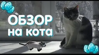 ОБЗОР НА КОТА