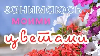 Спустя 4 месяца я вернулась в Италию и сразу же занялась цветами🌺🌸🌼🪷🌻