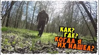 ТАКИ я ИХ нашёл!!! / ПЕРВЫЕ съедобные ГРИБЫ 2021 / ГДЕ искать? Как? И когда? / СМОРЧКОВАЯ ШАПОЧКА