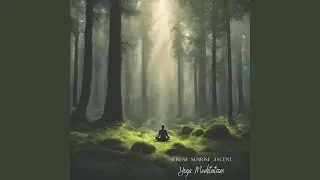 Vinyasa Bliss Resonance