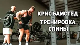 ТРЕНИРОВКА СПИНЫ КРИСА БАМСТЕДА | На Русском