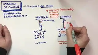 Genetics of Cancer