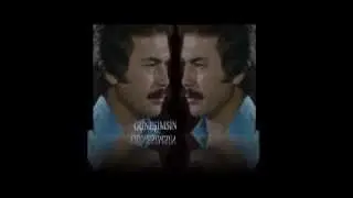BİR ARAYA GELEMEYİZ  ( ENSTRÜMANTAL )
