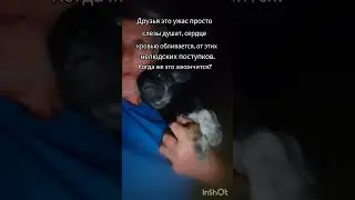 Выкинули прям на оживленной трассе.