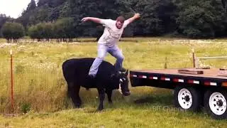 Да конечно бабы удивительное существо