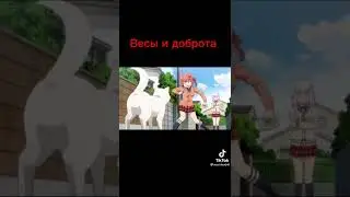 как видят знаки зодиака по аниме