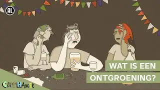 Wat is een ontgroening?
