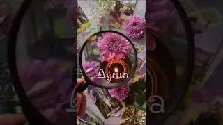 А чего хочет твоя? 💕 Таро эстетика 🌸