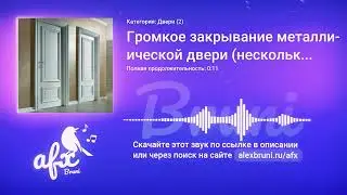 Звук: Громкое закрывание металлической двери (несколько вариантов)
