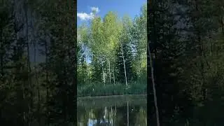 #лето2024 #врекомендации #ярославскаяобласть