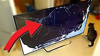 Спидран по телевизору, поехали!!!!