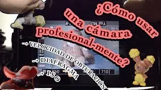 ¿Cómo usar una cámara profesional - mente?