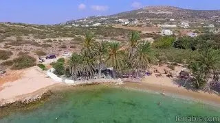 Aghia Irini Palm Beach, Paros island, Greece