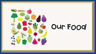 Our Food