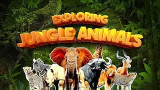 Explore Jungle Animals | Kids Fun Play Educational Video | Wild Animals Safari | Ali and Bano