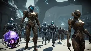 Обращение к комьюнити | Новый билд на ближку | 2024 | Warframe