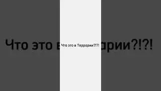 Что это в террарии?!?! 
