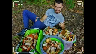ШИКАРНЫЙ СБОР БЕЛЫХ ГРИБОВ СЕНТЯБРЬ 2018