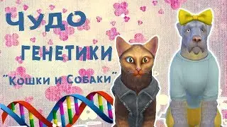 ЧУДО ГЕНЕТИКИ, #2 - ПИТОМЦЫ