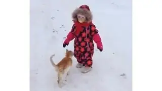 Кошка напала на ребенка
