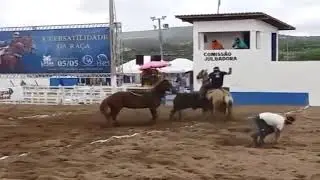 AS MELHORES DERRUBADAS DE JUNIOR LAÉRCIO!!!!