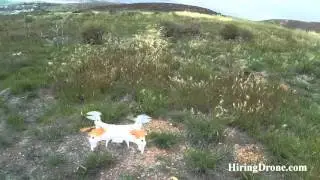 Skytech M62 Quadcopter Fail Flight