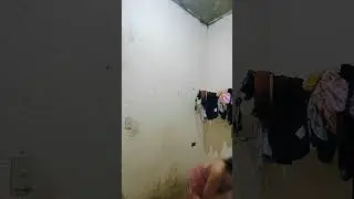 PINAY LIGO CHALLENGE