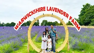 Explore England (36)- Warwickshire Lavender Farm