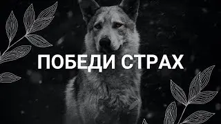 Избавление от страха и фобий / Медитация