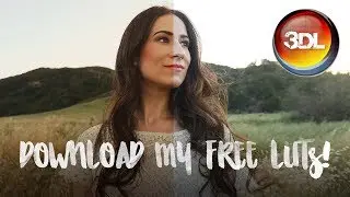 FREE LUTS…and How to Make Your Own Custom LUTs! (3D LUT Creator Review)
