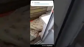 Тыва солун прикол