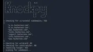Subdomain Enumeration Beginners