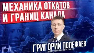 Механика рынка — откаты и границы каналов на рынке | Григорий Полежаев