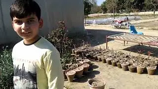 Revisit to The Islamia University Bahawalpur | Road View | T-interest
