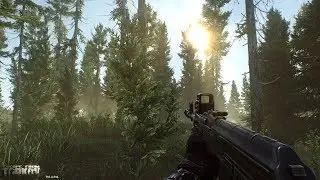 STREAM 18+ ТАРКОВСКИЙ ЛЕШИЙ  