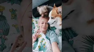 MORNING WITH 2 DOGS🐾