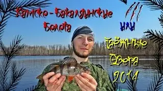 Камско - Бакалдинские Болота или Таёжные Озёра 2014 (Полный фильм)