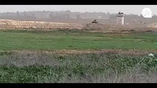شاهد : توغل جرافات الاحتلال في المنطقة الشرقية لخانيونس جنوب قطاع  غزة . . .
