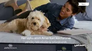 Serta Perfect Sleeper Adoring Night Yatak