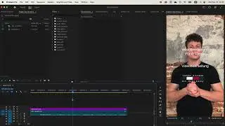 VIDEOBEARBEITUNG FÜR ANFÄNGER - Text animieren - Premiere Pro