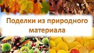 Поделки из природного материала.