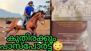 കുതിരയുടെ പാസ്പോർട്ട് 😳 | ബോംബെയിലെത്തി | #pkpmangalath #driverlife #busdriving #busdriver