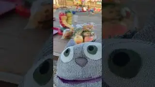 Кот забрал себе все булки с ужина😅 