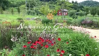《ナチュラルガーデン向きの宿根草》中之条ガーデンズの宿根草やバラをご紹介《T's Gardenお出かけ編》