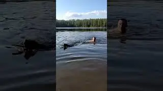 Стас и собака -водолаз🤣🤣🤣🤣