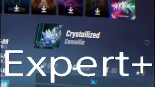 Crytallized Expert+ daily video