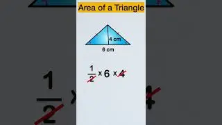 Find Area of Triangle | 
