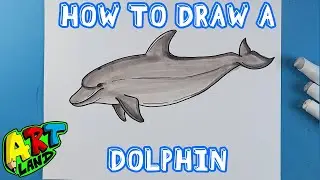 How to Draw a BOTTLENOSE DOLPHIN!!!