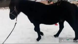 15 февраля 2017 г.