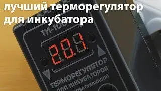 Терморегулятор для инкубатора ТИ-1000  и не только, обзор